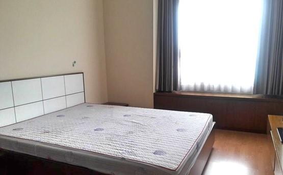 apartment for rent in binh thanh district BT101055(12)
